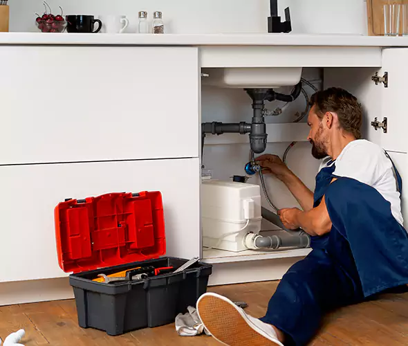 Trusted Plumber for Polybutylene Plumbing Replacement in Arlington Heights, IL: Schedule Reliable Replacement Services with Us