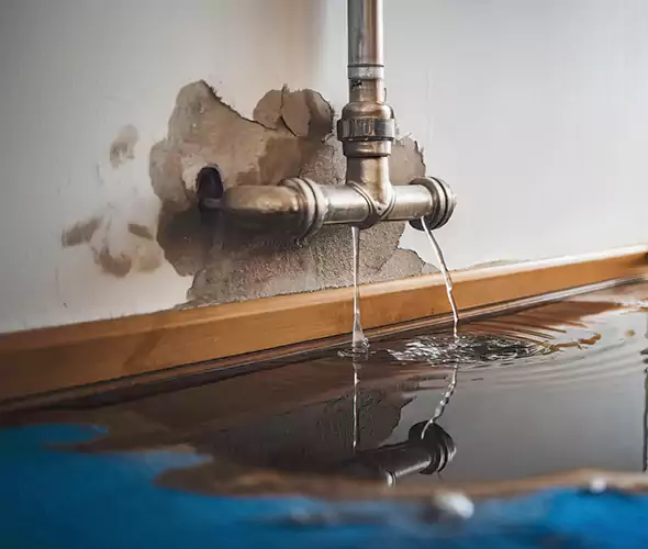 Professional Water Damage Restoration Experts in Arlington Heights, IL — Fast, Reliable & Certified