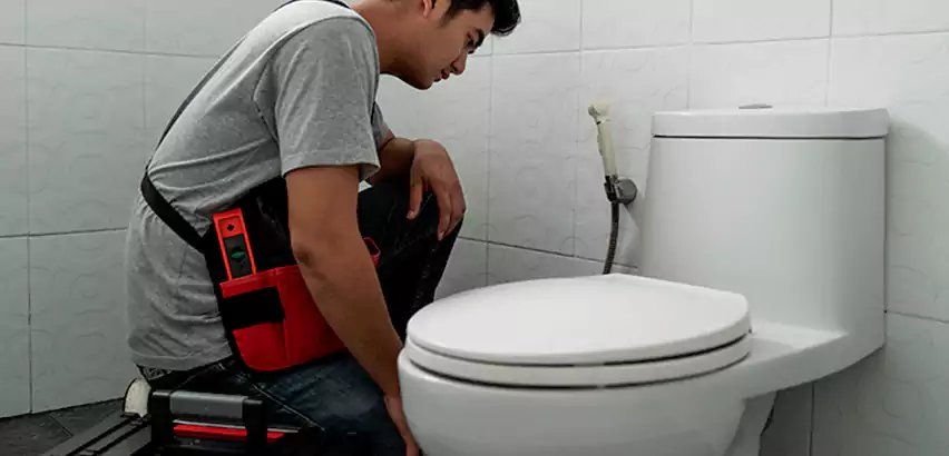 Toilet Repair in Arlington Heights