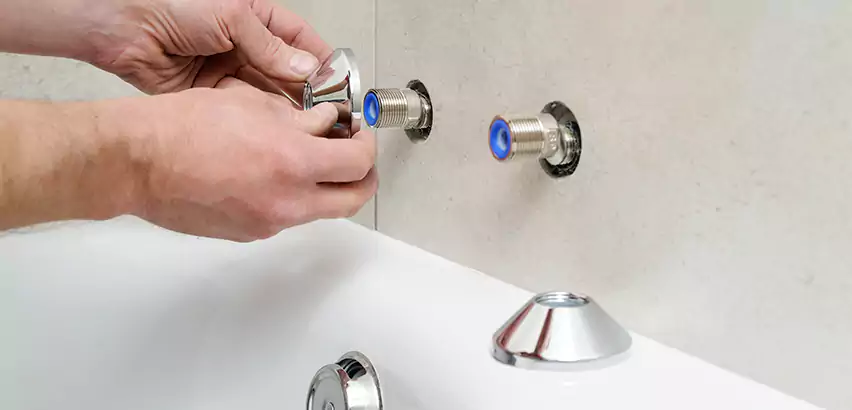 Bathtub Faucet Diverter Replacement in Arlington Heights