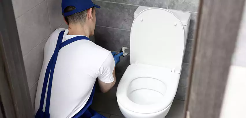 Toilet Lid Replacement in Arlington Heights