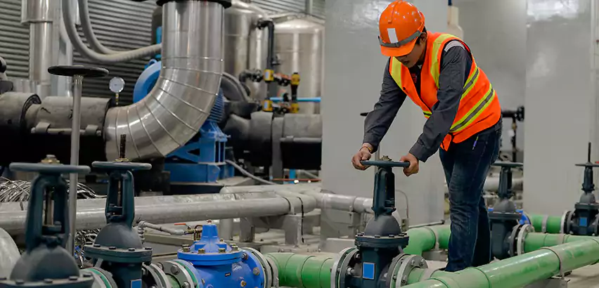 Top-Notch Trenchless Sewer Line Repair Services in Arlington Heights, IL.