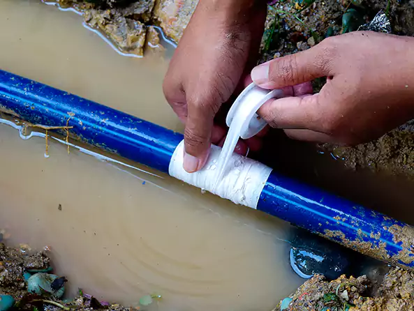  Why Choose Ernie's Plumbers for Leak Detection in Arlington Heights, IL?]