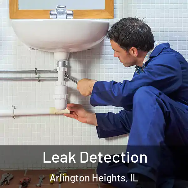  Leak Detection Arlington Heights, IL