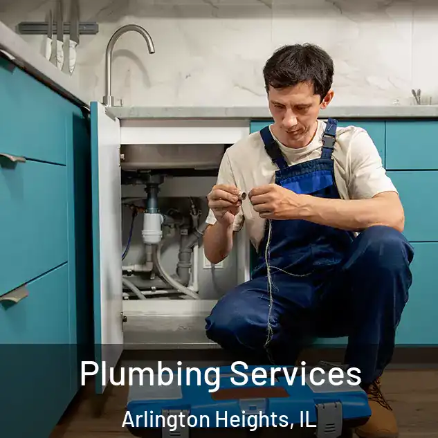  Plumbing Services Arlington Heights, IL