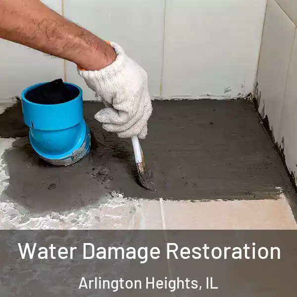  Water Damage Restoration Arlington Heights, IL