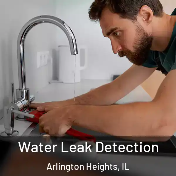 Water Leak Detection Arlington Heights, IL