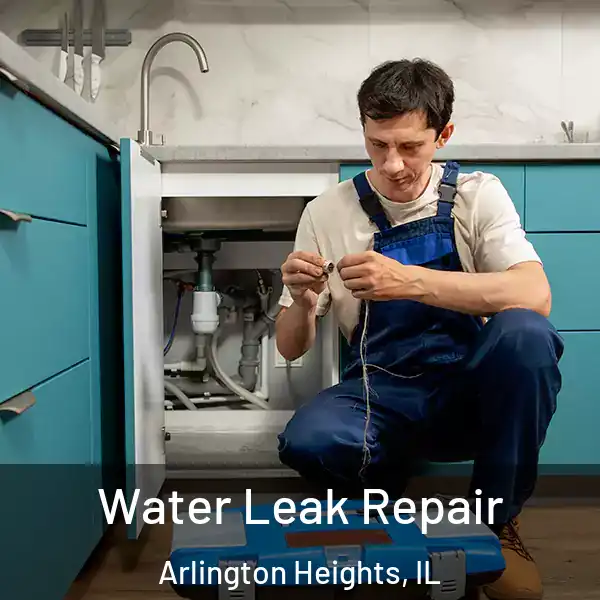  Water Leak Repair Arlington Heights, IL